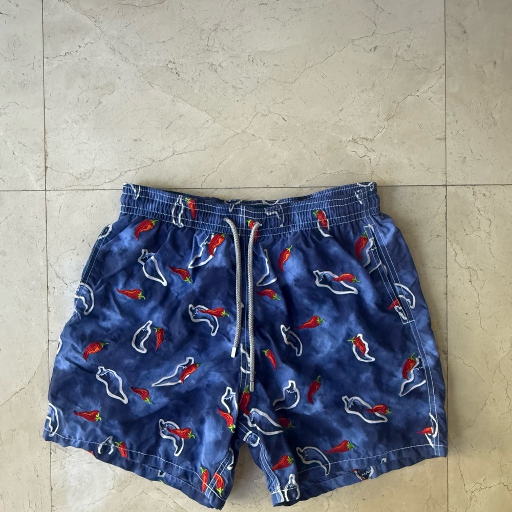 VILEBREQUIN MENS SWIM TRUNKS SIZE XL


Pre-owned in good condition